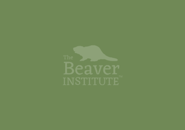 default blog image