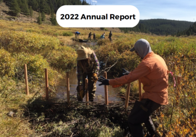 Beaver Institute’s 2022 Annual Report