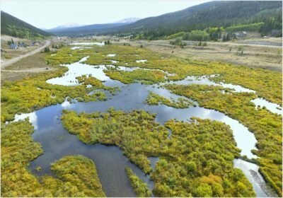 Partnering with Beaver to Restore Streams and Wetland in Colorado