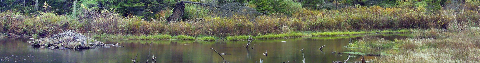 State Wildlife Action Plans (SWAP) backgound banner